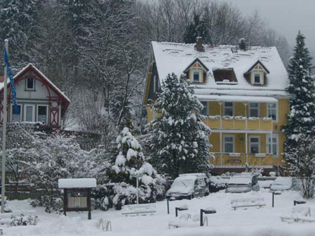 Апартаменты Erika'S Haus In Der Sonne Бад-Грунд Экстерьер фото
