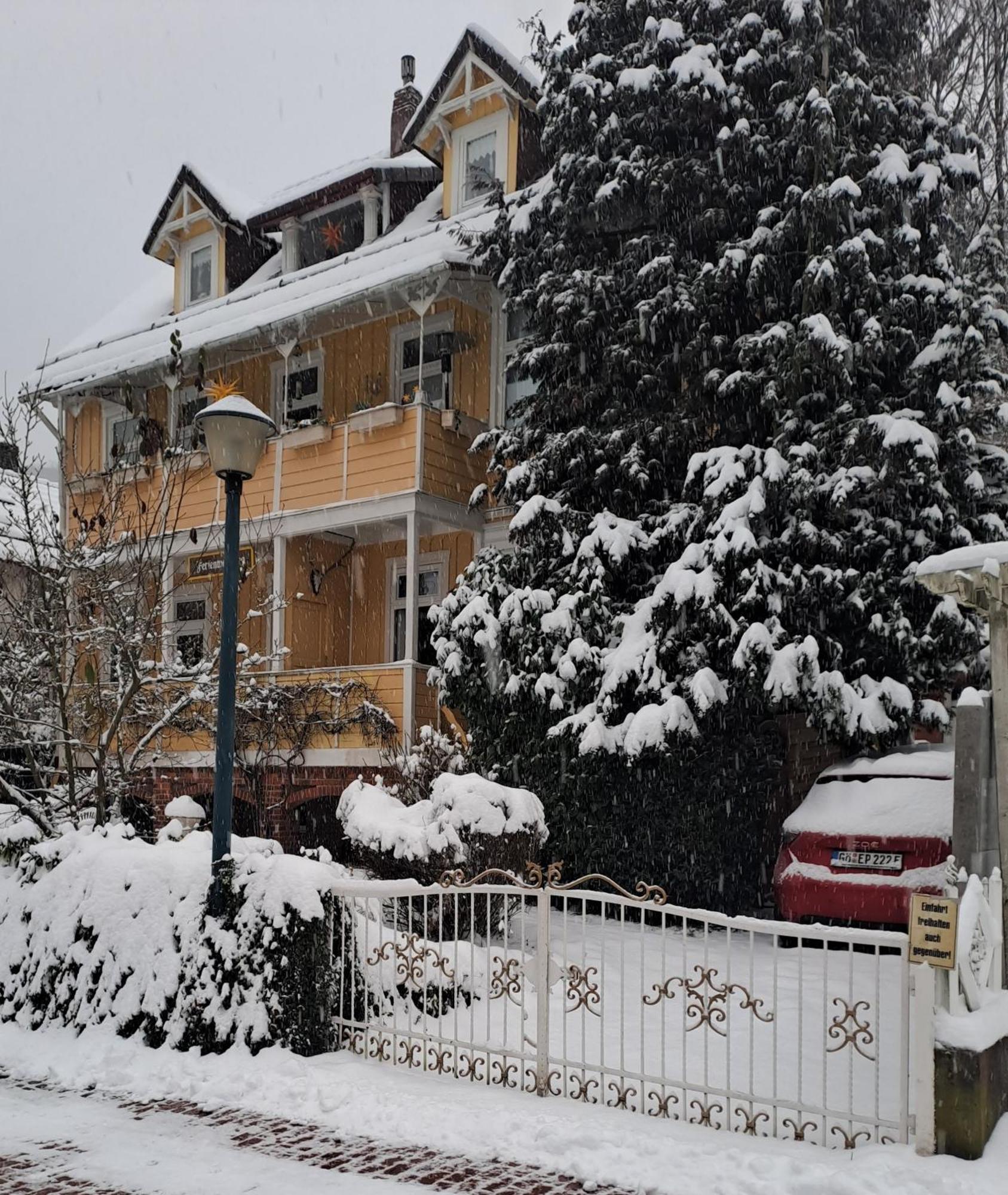 Апартаменты Erika'S Haus In Der Sonne Бад-Грунд Экстерьер фото