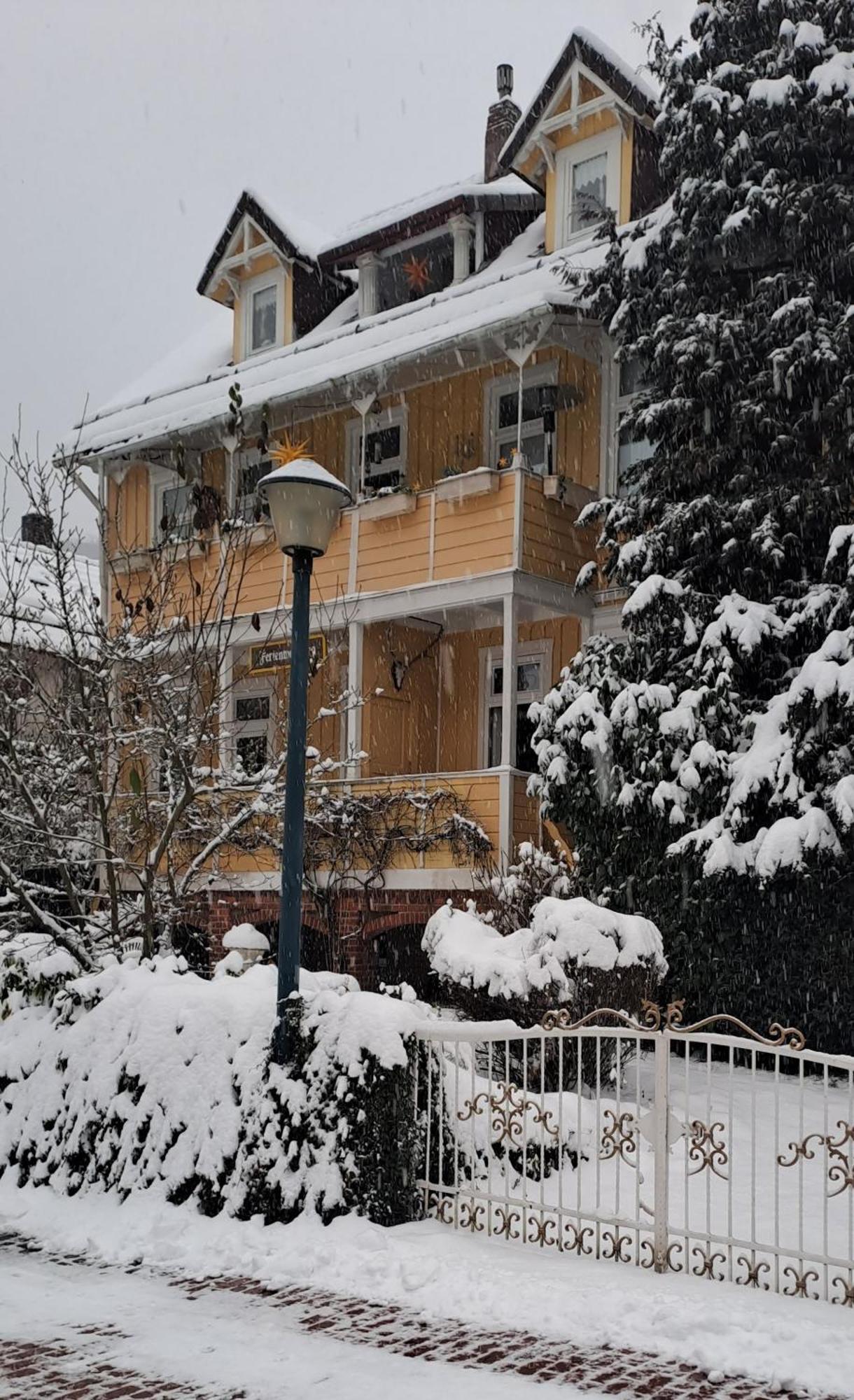 Апартаменты Erika'S Haus In Der Sonne Бад-Грунд Экстерьер фото